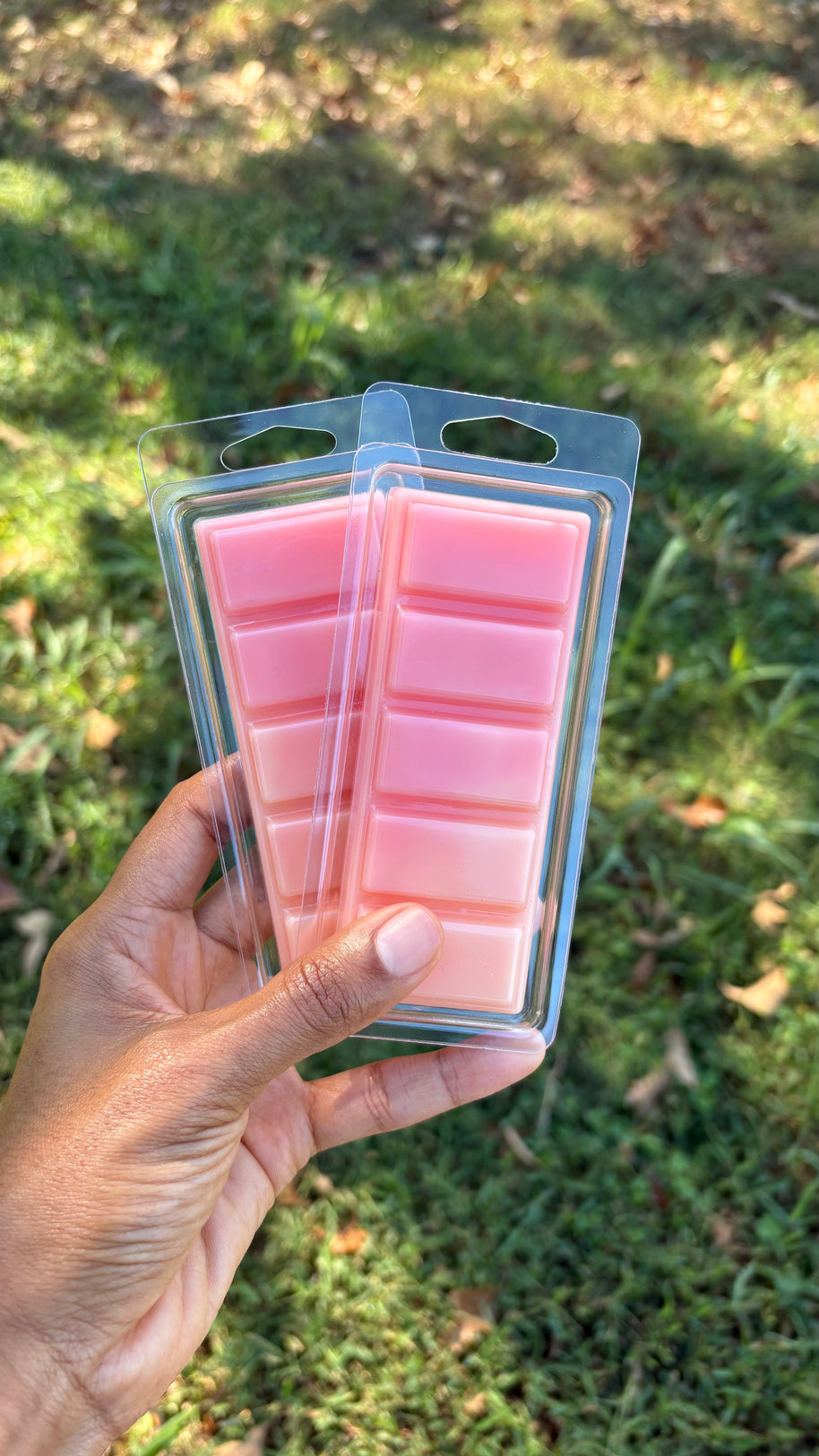 Cranberry Season Wax Melt 2oz